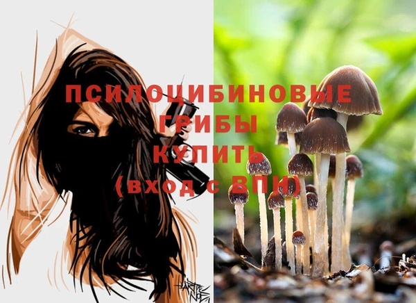 прущая мука Бородино