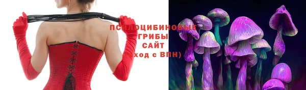 mdpv Бронницы