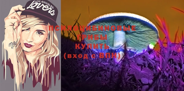 прущая мука Бородино